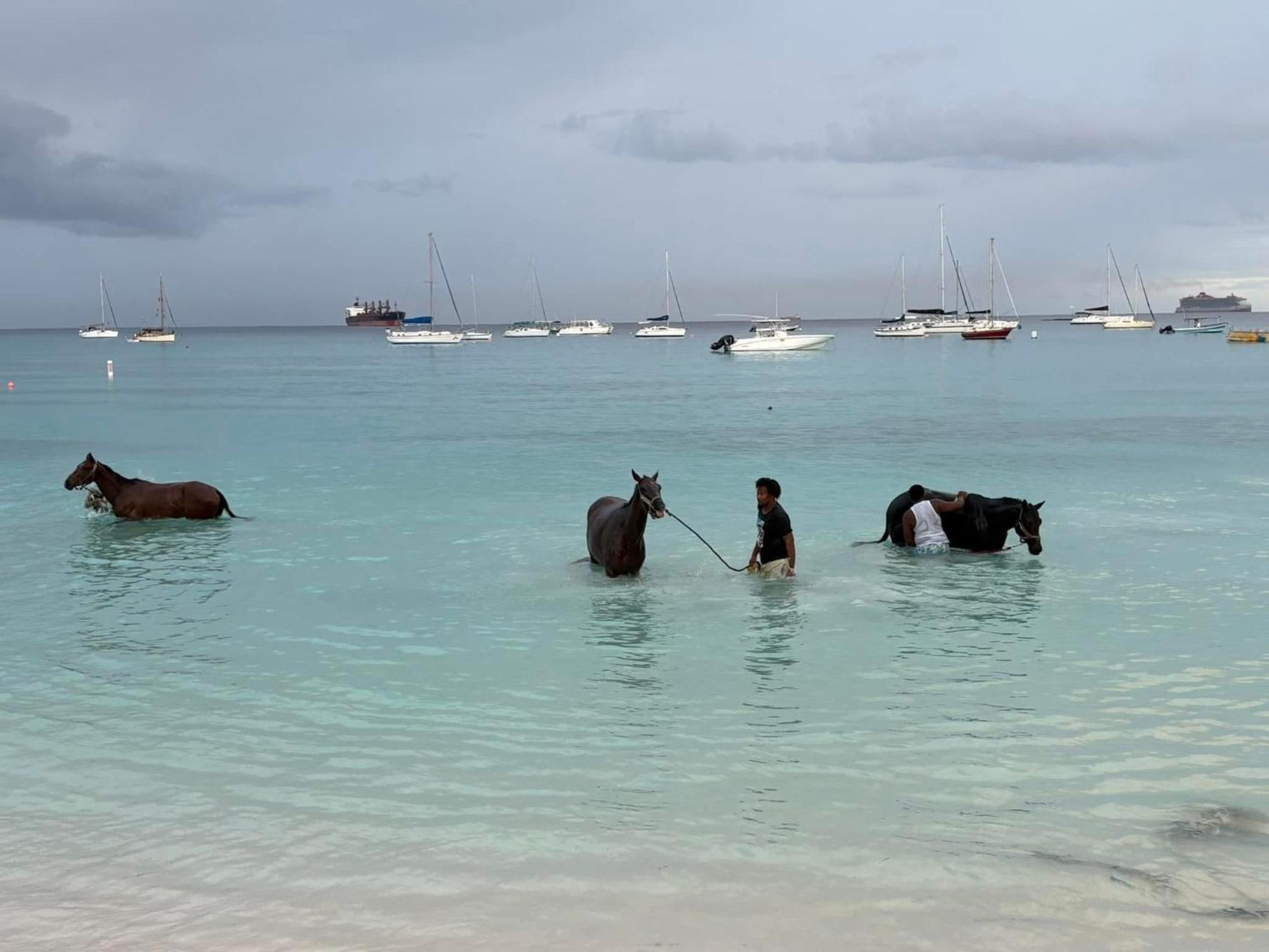 T.Cole'S Holiday Rental Saint James Luaran gambar