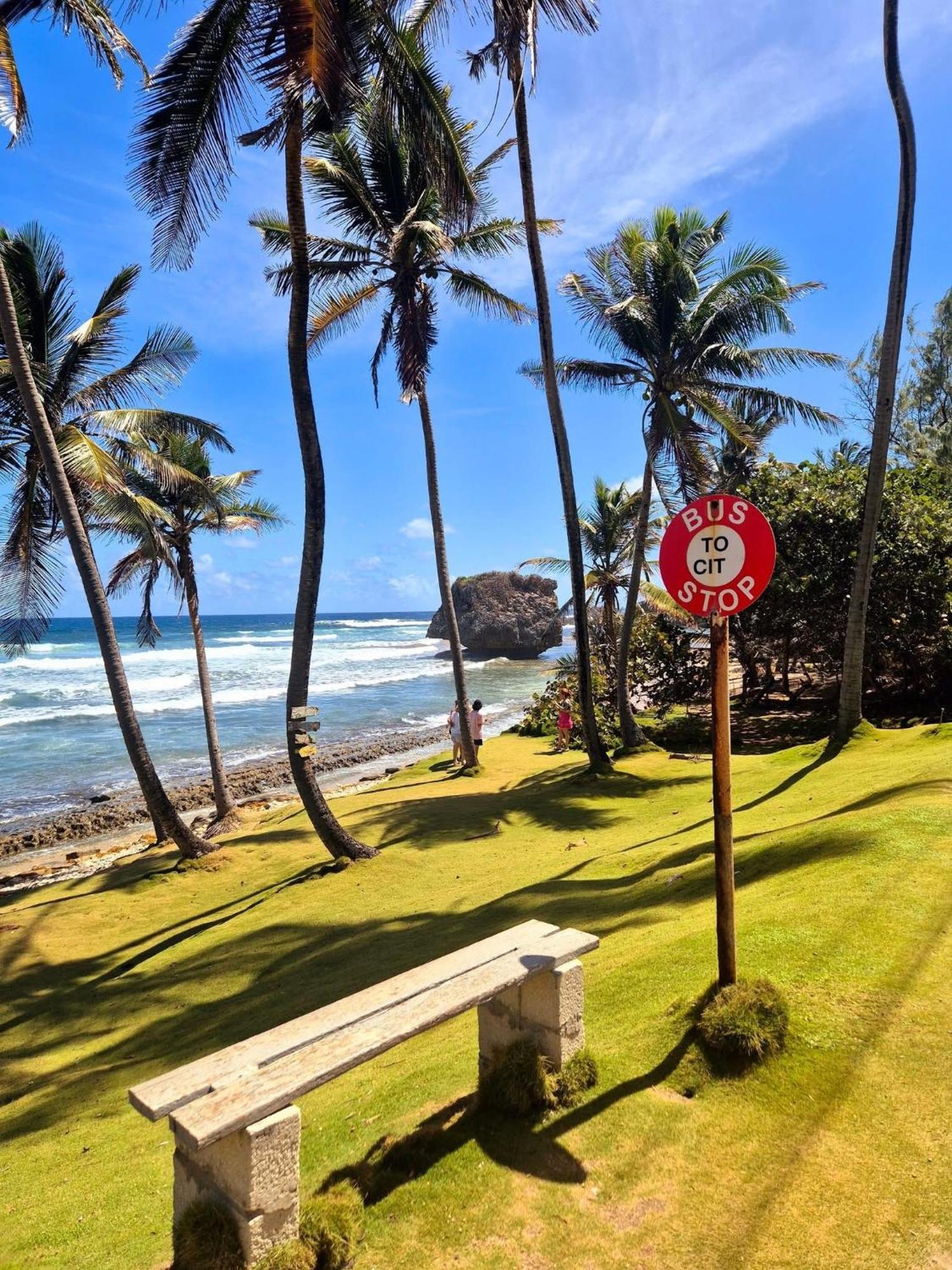 T.Cole'S Holiday Rental Saint James Luaran gambar